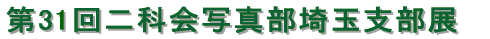 31ʲ̻̿Ÿ